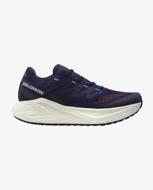 Men's Salomon Aero Glide 3 GRVL