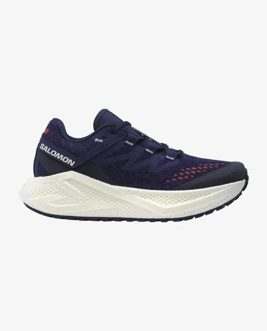 Women's Salomon Aero Glide 3 GRVL
