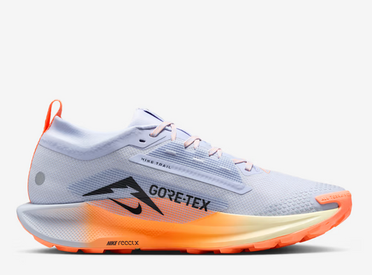 Men's Nike Pegasus Trail 5 GTX