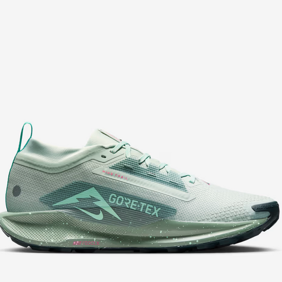 Men's Nike Pegasus Trail 5 GTX - Image 1