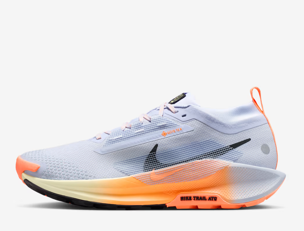 Men's Nike Pegasus Trail 5 GTX - Image 4